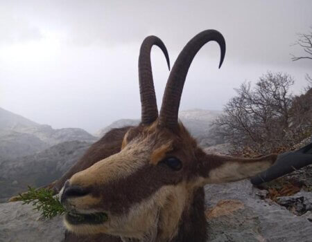 wta_2424_WhatsApp Image 2022-12-20 at 00.36.32