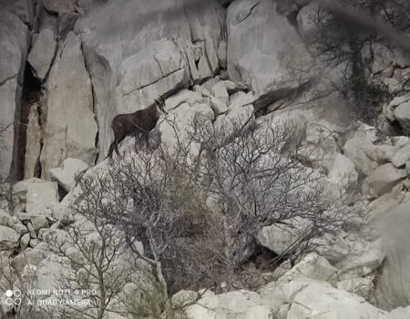 wta_2424_WhatsApp Image 2024-04-06 at 16.24.15 (1)