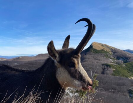 wta_2424_WhatsApp Image 2024-04-06 at 16.24.15 (3)