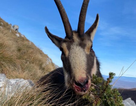 wta_2424_WhatsApp Image 2024-04-06 at 16.24.16