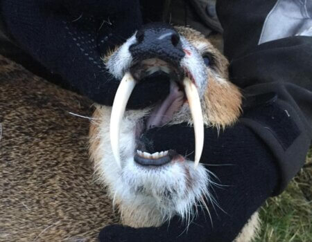 wta_2428_PHOTO-2024-01-31-05-34-13