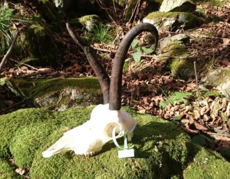 wta_2430_0b840f65-337a-4257-8077-f1d1eaa9826a