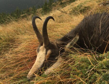 wta_2430_1a29d27c-3f6b-4d11-bbd6-e6a47b2bae4f