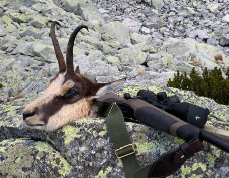 wta_2430_50a2e2ef-035a-4b2f-af36-0f26ed1e7b71