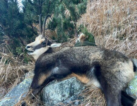 wta_2430_824b8178-994c-4c6b-b24f-5e508053e153