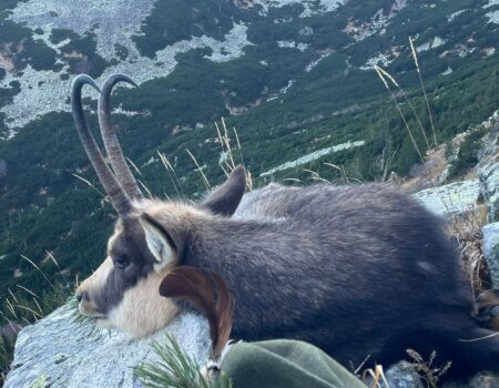 wta_2430_e0adf112-92c8-4e80-8d92-08a9f4bda5e5