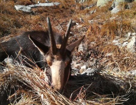 wta_2430_edd57d6c-7cfb-4ebc-8b3a-6bba6c0c762f