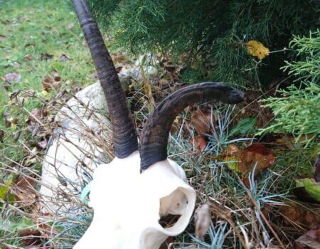 wta_2430_ff2ee551-9a64-44ed-95d7-9470c98973c7