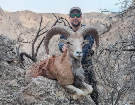 wta_2431_WhatsApp Image 2024-03-02 at 14.11.10