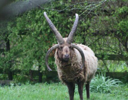 wta_2433_WhatsApp Image 2024-04-10 at 23.26.30