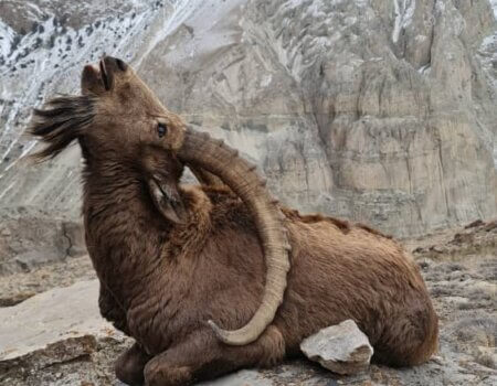 wta_2437_WhatsApp Image 2024-03-14 at 19.55.09 (2)