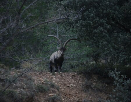 wta_2438_PHOTO-2023-09-14-10-29-22