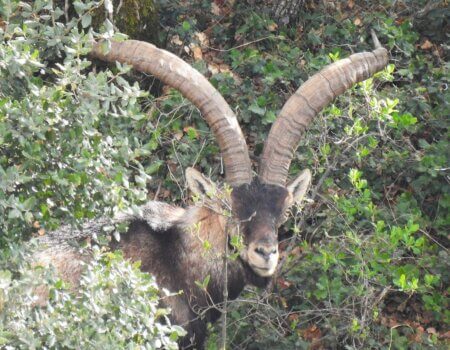 wta_2438_PHOTO-2023-09-14-10-29-24