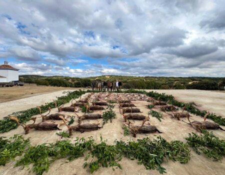 wta_2440_558f0cd1-4179-4952-a291-bb658aa9d403