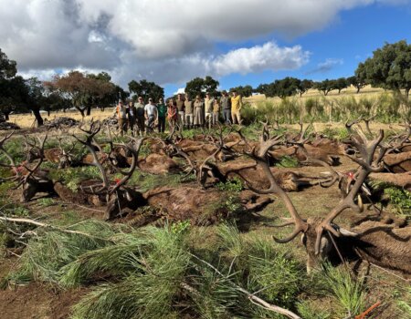 wta_2440_5feffb5a-c15f-4116-8031-bf23d954cfca