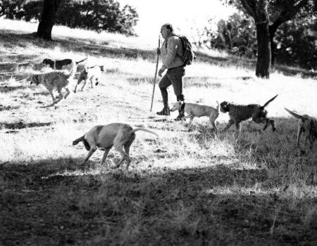 wta_2440_76e6fd80-3f71-4af1-ba22-71346c245ad0