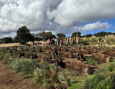 wta_2440_a5e9c01c-977c-4934-97f6-95ccb64bced6