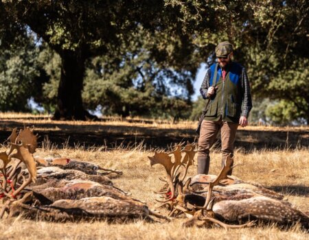 wta_2440_a82828a0-0d8e-4957-9c14-962bc59d93dc