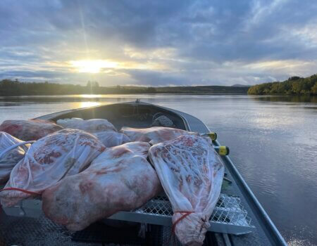 wta_2443_6CA3FCA1-0036-419F-8013-27BB8609ABBA_1_105_c