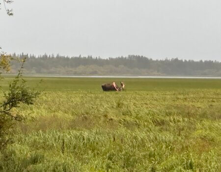 wta_2443_92A4BBAA-07D6-45A8-B0BF-31C1FB4AE8D5_1_105_c