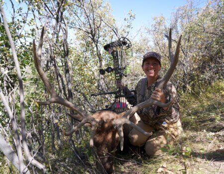 wta_2446_JPEG image-47DCF44A02FB-1