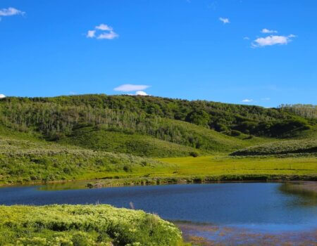 Mirr Ranch Group Photo