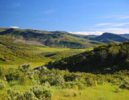 Mirr Ranch Group Photo