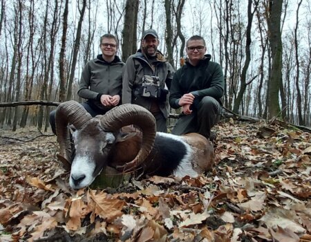 wta_2448_Resized_20241127_150825