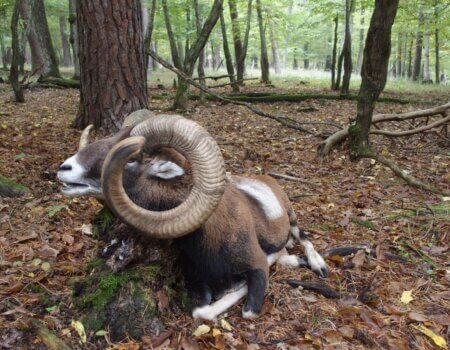 wta_2448_f73ed29b-f61a-4f9c-8518-8867181b853c 2