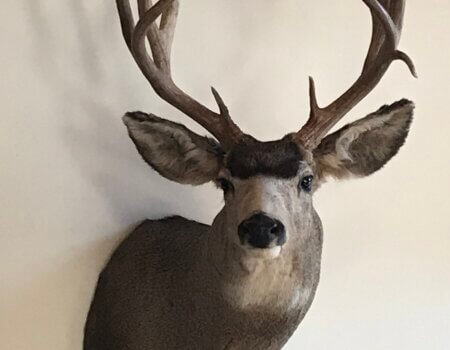 wta_2451_63924061657__14B48A6E-F8D2-4CD9-8E3E-9E6E099BBD80