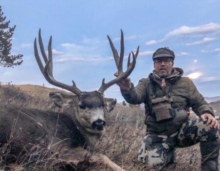 wta_2451_JB mule deer