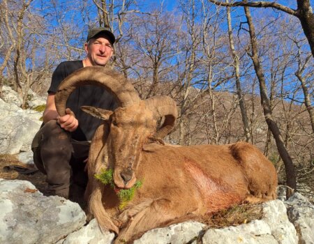 wta_2452_384ade85-3bf5-4ac6-a3ed-e273753370a2