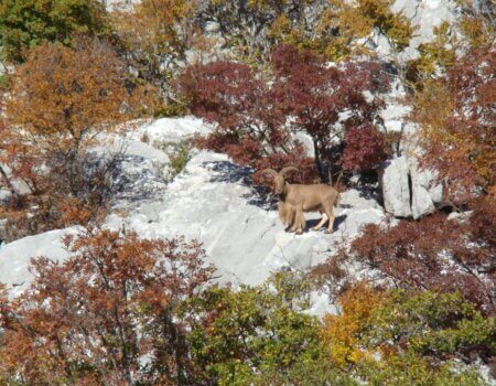 wta_2452_WhatsApp Image 2024-04-06 at 14.11.18 (1)