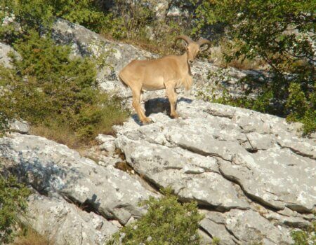 wta_2452_WhatsApp Image 2024-04-06 at 14.11.18 (6)