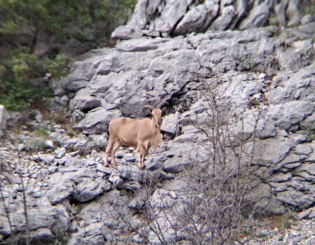 wta_2452_WhatsApp Image 2024-04-06 at 14.11.19 (2)