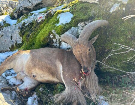 wta_2452_WhatsApp Image 2024-04-06 at 14.12.26 (4)