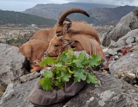 wta_2452_WhatsApp Image 2024-04-06 at 14.12.26 (5)