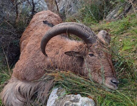 wta_2452_WhatsApp Image 2024-04-06 at 14.12.26 (6)