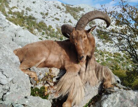 wta_2452_WhatsApp Image 2024-04-06 at 14.12.26 (7)