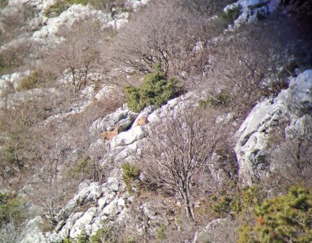 wta_2452_WhatsApp Image 2024-12-16 at 19.01.54 (3)