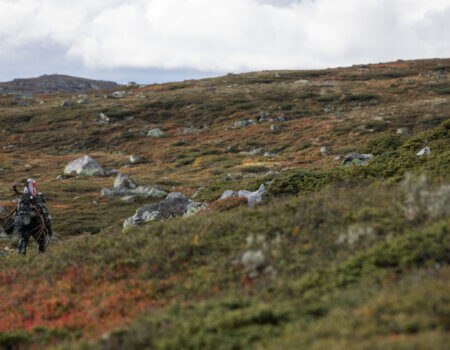 wta_2459_5DM40310-EDIT