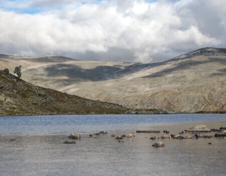 wta_2459_5DM48317-EDIT