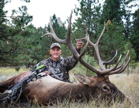 wta_2461_Blanton MT elk