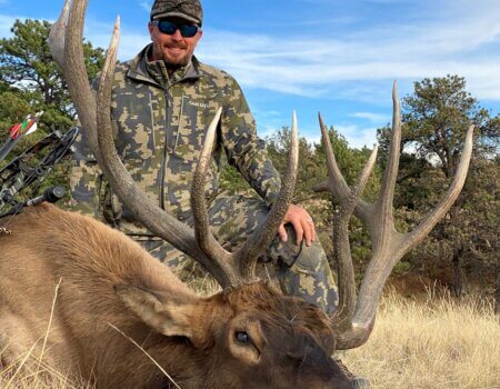 wta_2461_J&J elk
