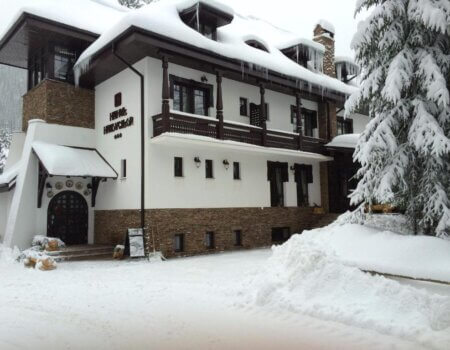 wta_2462_41920139