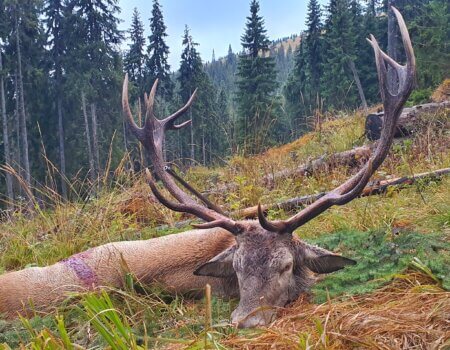 wta_2463_20210921_073529