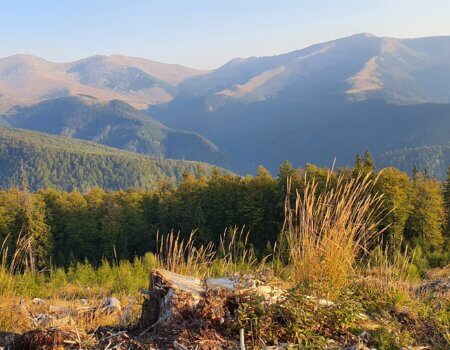 wta_2463_20210927_081533