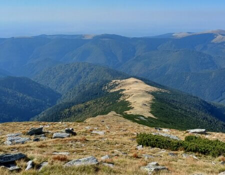 wta_2463_20230929_100439