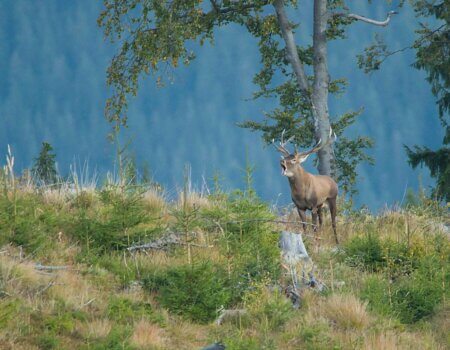 wta_2463_DSC_5157 mail