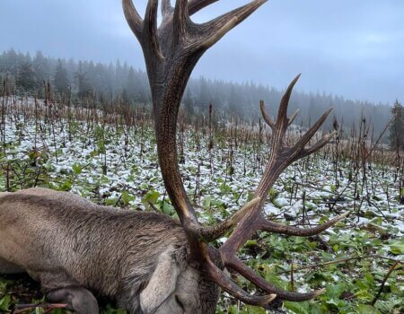 wta_2463_IMG-20220922-WA0012